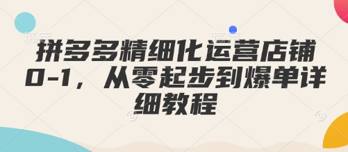 拼多多精细化运营店铺0-1，从零起步到爆单详细教程 - 网赚资源网-网赚资源网