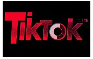 TikTok ads投流秘籍,涵盖tiktok整体投放思路,教你搭建测试计划-网赚资源网
