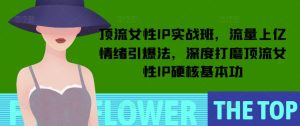 顶流女性IP实战班,流量上亿情绪引爆法,深度打磨顶流女性IP硬核基本功-网赚资源网