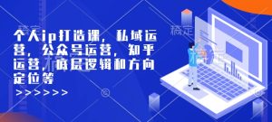 个人ip打造课,私域运营,公众号运营,知乎运营,底层逻辑和方向定位等-网赚资源网
