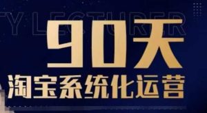 90天淘宝系统化运营，从入门到精通-网赚资源网