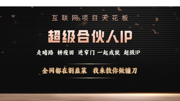 互联网项目天花板，超级合伙人IP，全网都在割韭菜，我来教你做镰刀【仅揭秘】 - 网赚资源网-网赚资源网