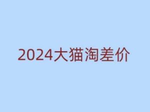 2024版大猫淘差价课程，新手也能学的无货源电商课程-网赚资源网