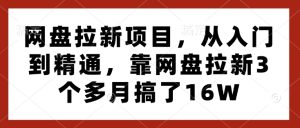 网盘拉新项目，从入门到精通，靠网盘拉新3个多月搞了16W-网赚资源网