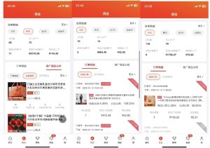 2025最新京东蓝海项目,0 门槛日入 1k+,小白宝妈轻松上手【揭秘】-网赚资源网