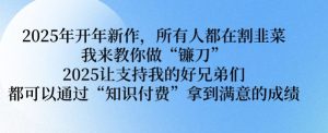 2025年开年新作,所有人都在割韭菜,我来教你做“镰刀” 2025让支持我的好兄弟们都可以通过“知识付费”拿到满意的成绩【揭秘】-网赚资源网