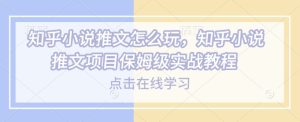 知乎小说推文怎么玩，知乎小说推文项目保姆级实战教程-网赚资源网