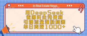 用DeepSeek做哪吒走秀视频,引爆流量涨粉利器,单日变现1k-网赚资源网