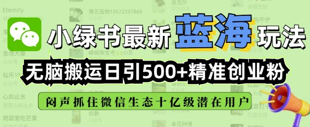 小绿书无脑搬运引流，全自动日引500精准创业粉，微信生态内又一个闷声发财的机会 - 网赚资源网-网赚资源网