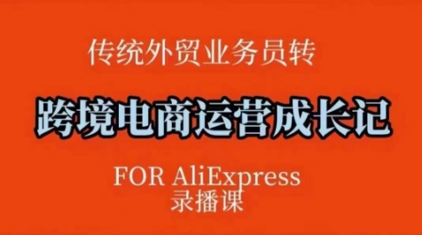 跨境电商速卖通运营课，​运营方法论+后台实操，逻辑清晰 - 网赚资源网-网赚资源网