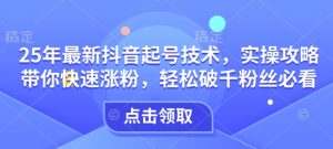 25年最新抖音起号技术，实操攻略带你快速涨粉，轻松破千粉丝必看-网赚资源网