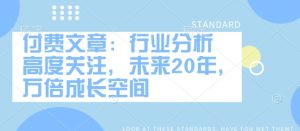 付费文章:行业分析 高度关注,未来20年,万倍成长空间-网赚资源网