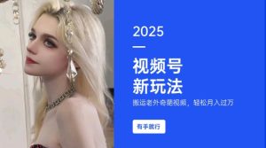 搬运老外奇葩视频,撸视频号分成计划收益,每天只需一小时,新手小白轻松月入过W-网赚资源网