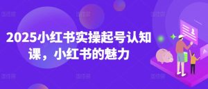2025小红书实操起号认知课，小红书的魅力-网赚资源网