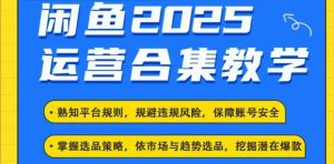 2025闲鱼电商运营全集，2025最新咸鱼玩法-网赚资源网