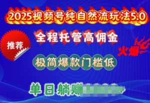 2025视频号纯自然流玩法5.0，全程托管高佣金，极简爆款门槛低，单日收益多张【揭秘】-网赚资源网