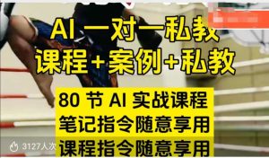 AI指令实战课，课程+案例，80节AI实战课程，笔记指令随意享用，课程指令随意享用-网赚资源网