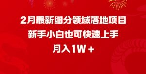 2月最新细分领域落地项目,新手小白也可快速上手,月入1W-网赚资源网