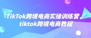 TikTok跨境电商实操训练营，tiktok跨境电商教程-网赚资源网