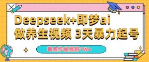 小白用DeepSeek+即梦做ai养生视频，一条作品涨粉5万+，单日收益多张-网赚资源网
