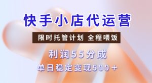 快手小店代运营3.0，模式新升级，收益55分，稳定单日5张【揭秘】-网赚资源网