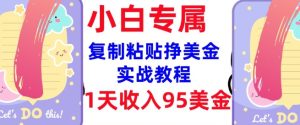 复制粘贴挣美金，0门槛，1天收入95美刀，3分钟学会，内部教程(首次公开)-网赚资源网