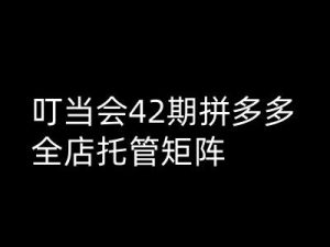 叮当会拼多多打爆班原创高阶技术第42期,拼多多全店托管矩阵-网赚资源网