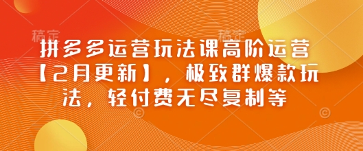 拼多多运营玩法课高阶运营【2月更新】，极致群爆款玩法，轻付费无尽复制等 - 网赚资源网-网赚资源网