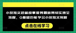 小说推文短篇故事混剪最新剪辑实操全流程,0基础也能学会小说推文教程,肯干多发日入多张-网赚资源网