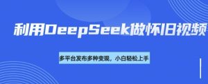 利用DeepSeek做怀旧视频，流量号多渠道变现能力强-网赚资源网