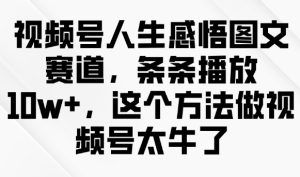 视频号人生感悟图文赛道，条条播放10w+，这个方法做视频号太牛了-网赚资源网