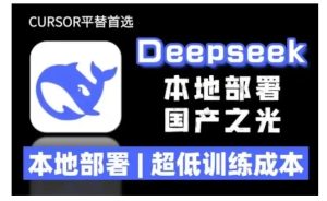 2025年deepseek R1 大型模型本地安装部署(文件+教程)本地部署，超低训练成本-网赚资源网