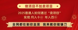 必看，做项目不如卖项目，2025普通人如何通过“卖项目”实现月入十个，年入百个-网赚资源网