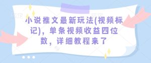 小说推文最新玩法(视频标记),单条视频收益四位数,详细教程来了-网赚资源网