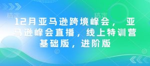 12月亚马逊跨境峰会, 亚马逊峰会直播,线上特训营基础版,进阶版-网赚资源网