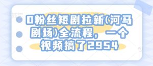 0粉丝短剧拉新(河马剧场)全流程,一个视频搞了2954-网赚资源网