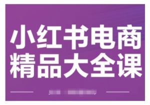 小红书电商精品大全课,快速掌握小红书运营技巧,实现精准引流与爆单目标,轻松玩转小红书电商-网赚资源网