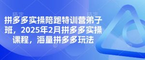 拼多多实操陪跑特训营弟子班,2025年2月拼多多实操课程,海量拼多多玩法-网赚资源网