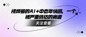 视频号的AI+中老年情感,一个被严重低估的赛道-网赚资源网