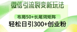 微信引流裂变新玩法：布局50+长尾词矩阵，轻松日引300+创业粉-网赚资源网