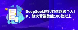DeepSeek时代打造超级个人IP，放大营销势能100倍以上-网赚资源网