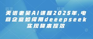 天诺老吴AI课程2025年，电商企业如何用deeepseek实现降本提效-网赚资源网