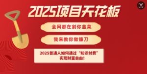 2025项目天花板普通人如何通过知识付费,实现财F自由【揭秘】-网赚资源网