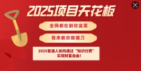 2025项目天花板普通人如何通过知识付费，实现财F自由【揭秘】 - 网赚资源网-网赚资源网