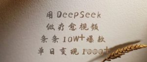 用DeepSeek做疗愈视频,条条10W+爆款,单日变现多张-网赚资源网