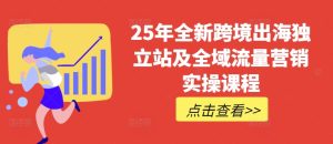 25年全新跨境出海独立站及全域流量营销实操课程,跨境电商独立站TIKTOK全域营销普货特货玩法大全-网赚资源网