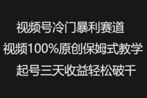 视频号冷门暴利赛道视频100%原创保姆式教学起号三天收益轻松破千-网赚资源网