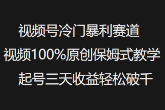 视频号冷门暴利赛道视频100%原创保姆式教学起号三天收益轻松破千 - 网赚资源网-网赚资源网