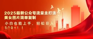 2025最新公众号流量主打法,美女图片简单复制,小白也能上手,轻松日入5张-网赚资源网