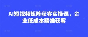 AI短视频矩阵获客实操课，企业低成本精准获客 - 网赚资源网-网赚资源网